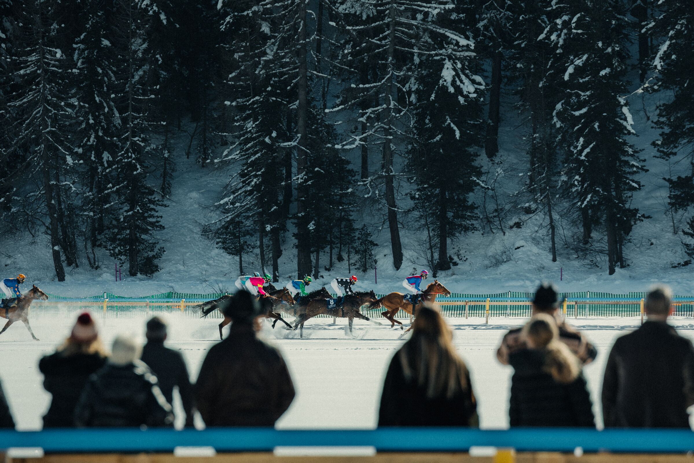 Web optimiert-Travis Kauffman - St. Moritz 2025 - White Turf & Ski-8025