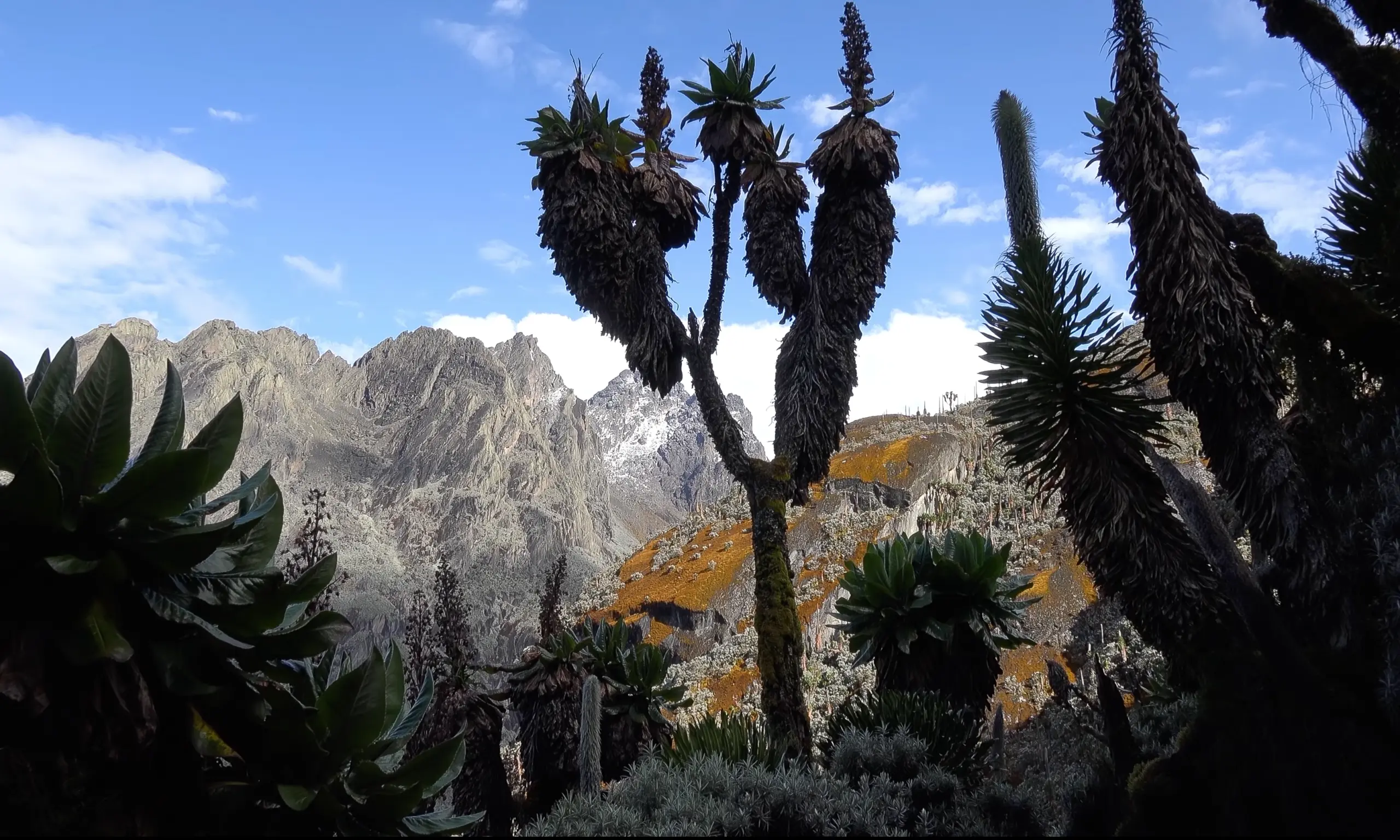 Ruwenzori_Trekking_05kl